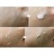 Пилинг-скатка для лица The Saem Cell Renew Bio Micro Peel Soft Gel 160ml - фото 5526
