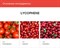 Фито маска для лица MISSHA Phytochemical Skin Supplement Sheet Mask (Lycophene/ Peeling Tone Up) - фото 9524